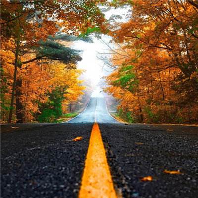 888电玩城游戏厅手机app下载